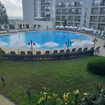 Festa بوموري